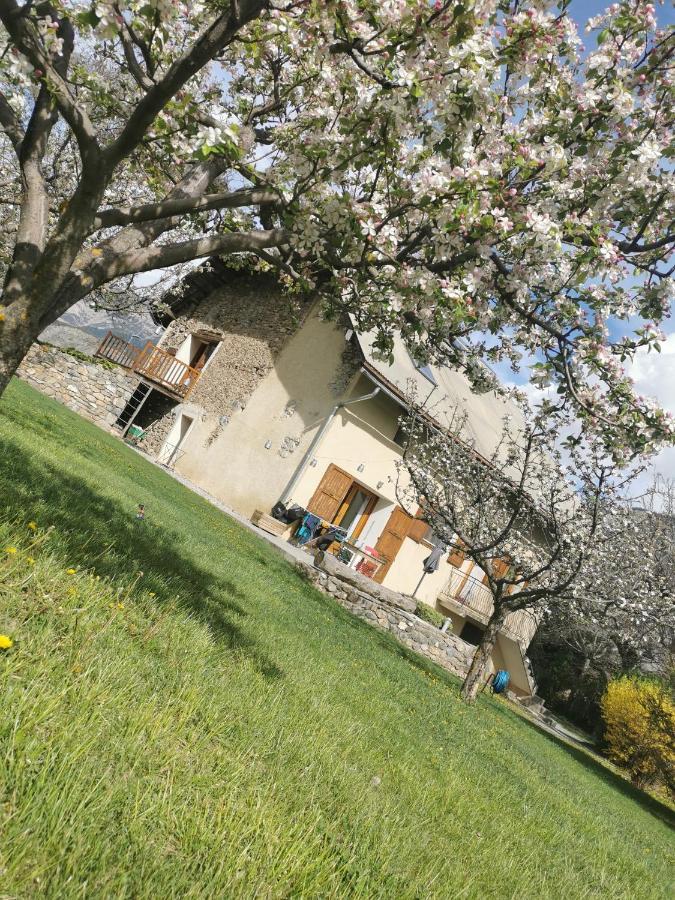 Chambres d'hôtes Les Peschiers Châteauroux-les-Alpes Extérieur photo